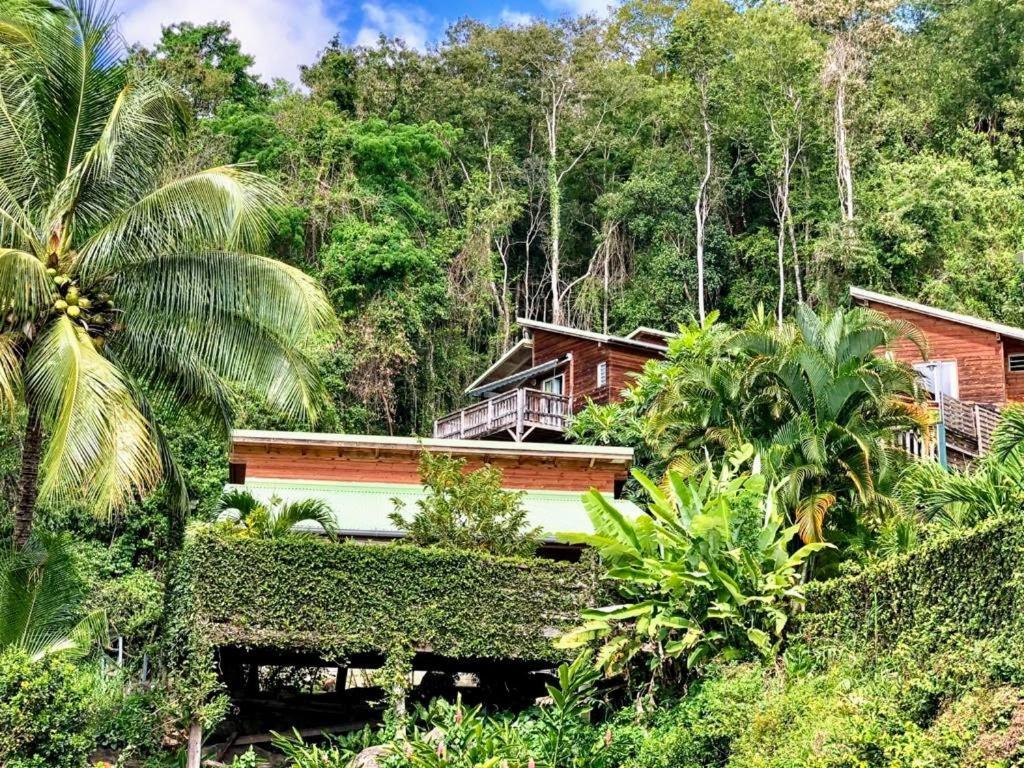 Hotel Le Bougainvillier Blanc Pointe-Noire Exteriér fotografie